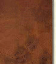 Banner-Complete-v4-Extended3